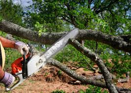 Lawn Grading and Leveling in La Villa, TX